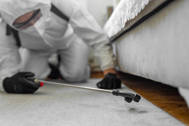 Professional Termite Control technician working in Albany, OR
