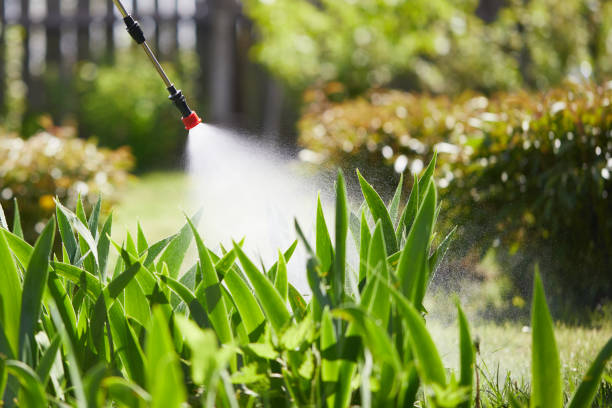 24/7 Emergency Termite Control experts in Albany, OR